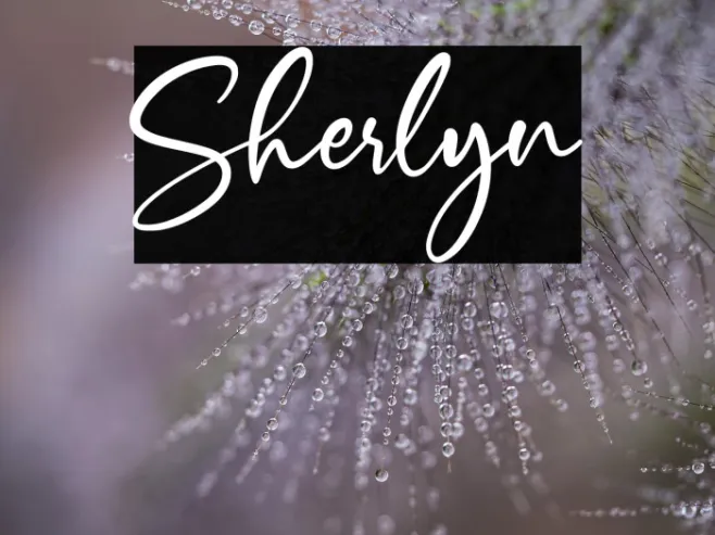 Sherlyn Example 2