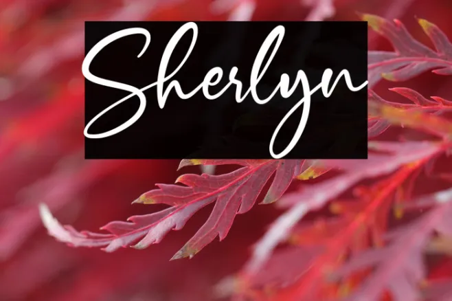Sherlyn Example 3