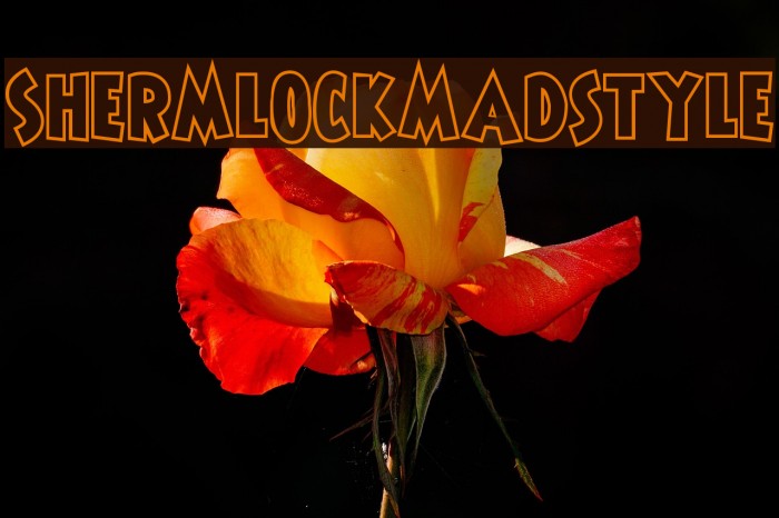 ShermlockMadstyle Font examples