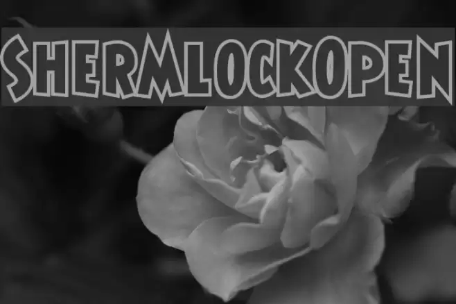 ShermlockOpen フォント examples