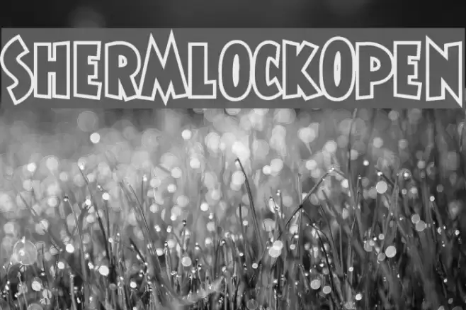 ShermlockOpen フォント examples