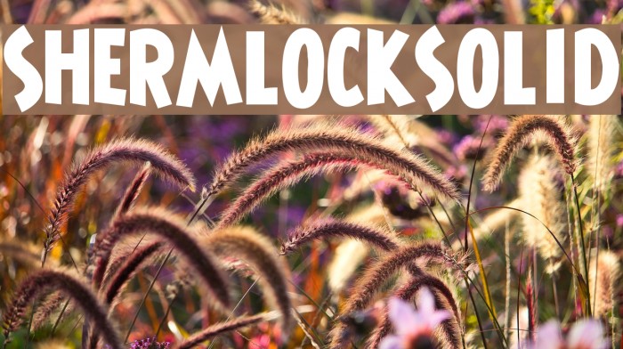 ShermlockSolid Font examples