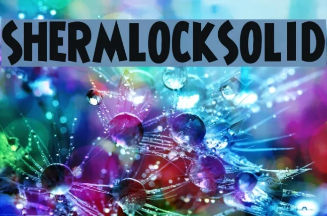 ShermlockSolid Example 3