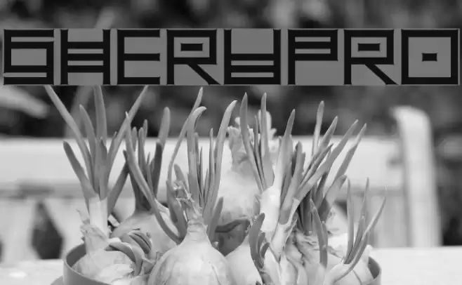 SheruPro Font examples