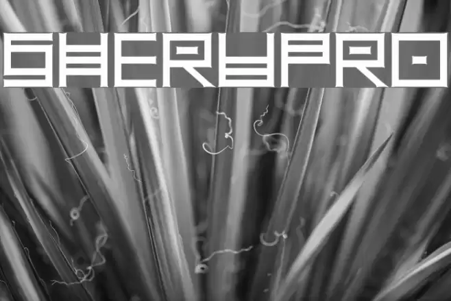 SheruPro Font examples