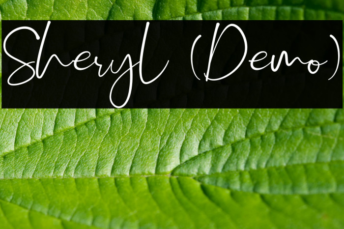 Sheryl (Demo) Font examples