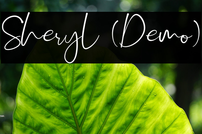 Sheryl (Demo) Font examples