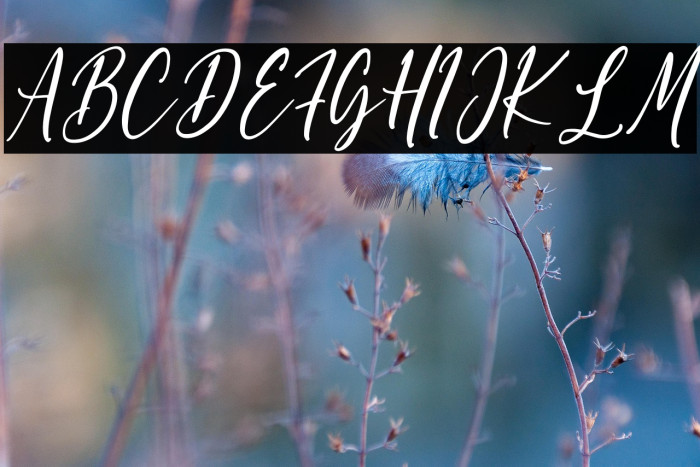 Shettricka Example 1