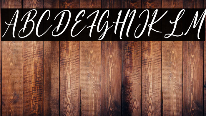 Shettricka Example 2