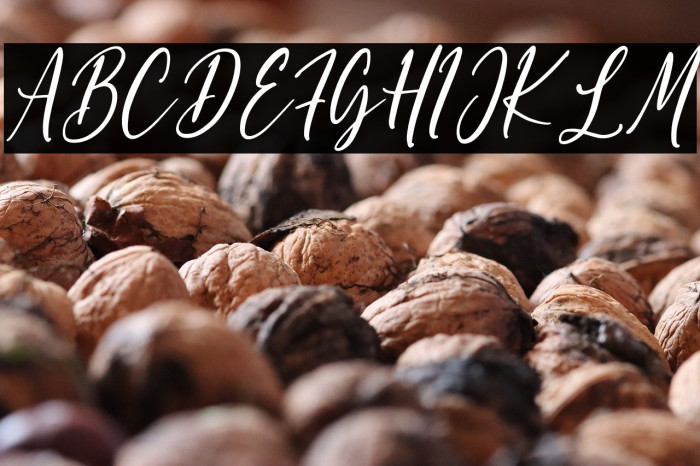 Shettricka Example 3