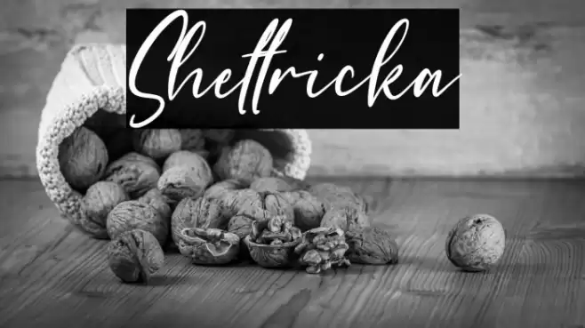Shettricka Font examples