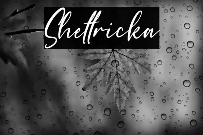 Shettricka Font examples