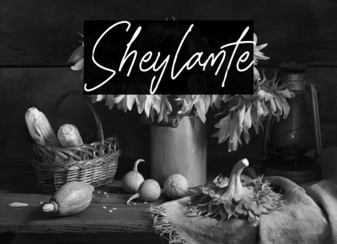 Sheylamte Caratteri examples