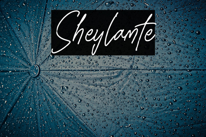 Sheylamte Example 2