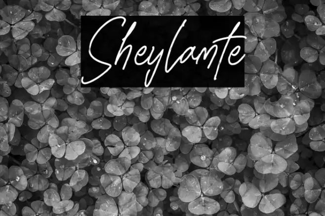 Sheylamte Caratteri examples