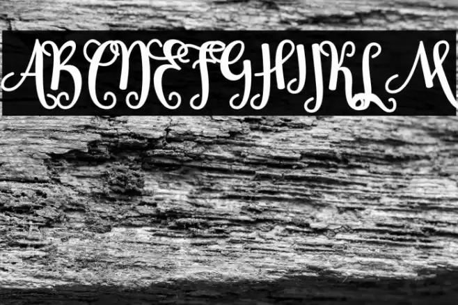 Sheyna Font examples