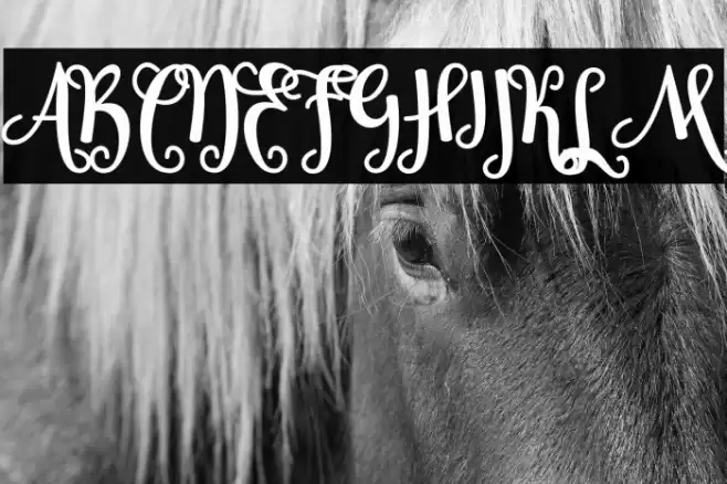 Sheyna Font examples