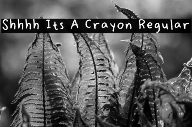 Shhhh Its A Crayon Regular フォント examples