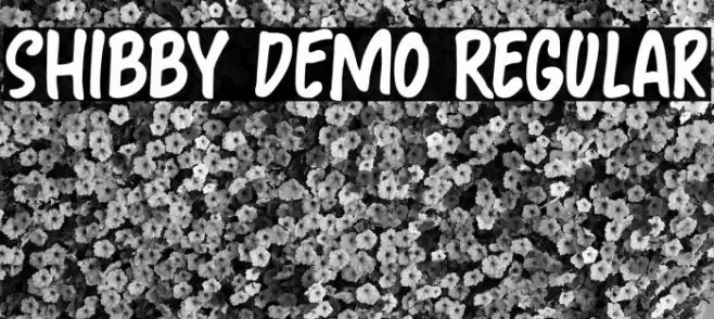 Shibby DEMO Regular Font examples