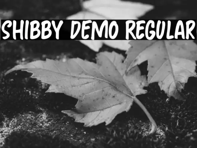 Shibby DEMO Regular Font examples