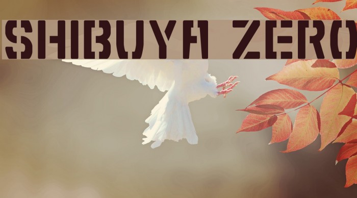 Shibuya Zero Example 1