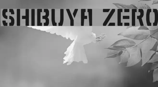 Shibuya Zero Font examples