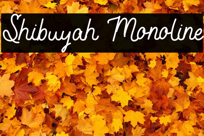 Shibuyah Monoline Example 1