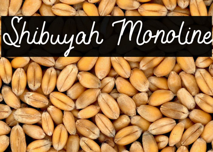 Shibuyah Monoline Example 2