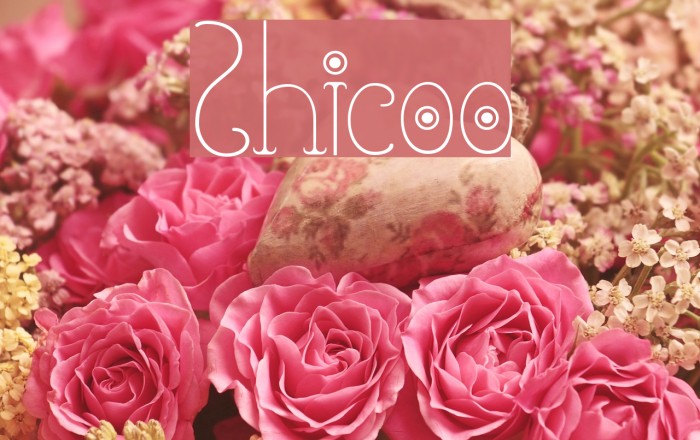 Shicoo Font examples