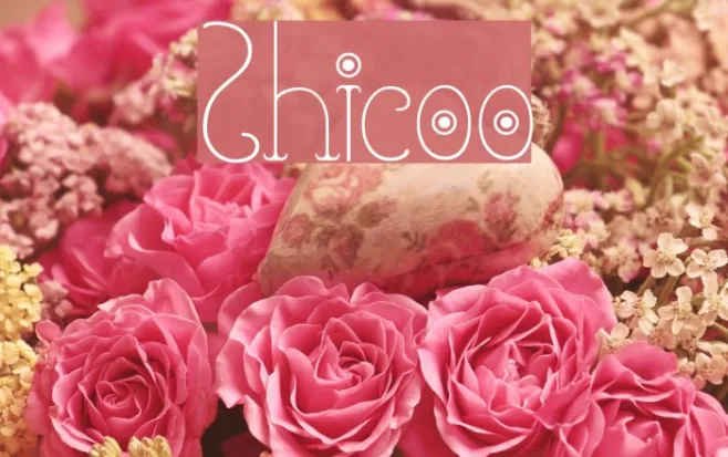 Shicoo Example 1