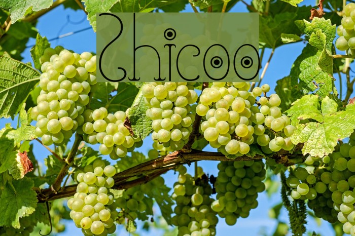 Shicoo Font examples
