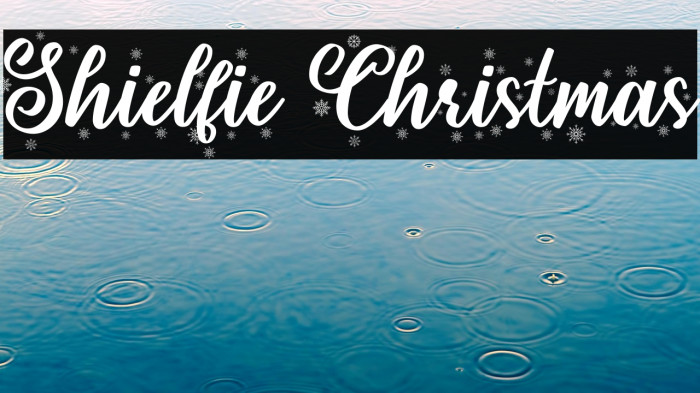 Shielfie Christmas Example 3