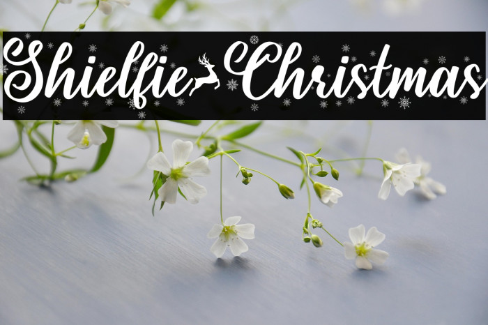 Shielfie-Christmas Example 1