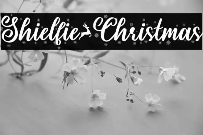 Shielfie-Christmas Font examples