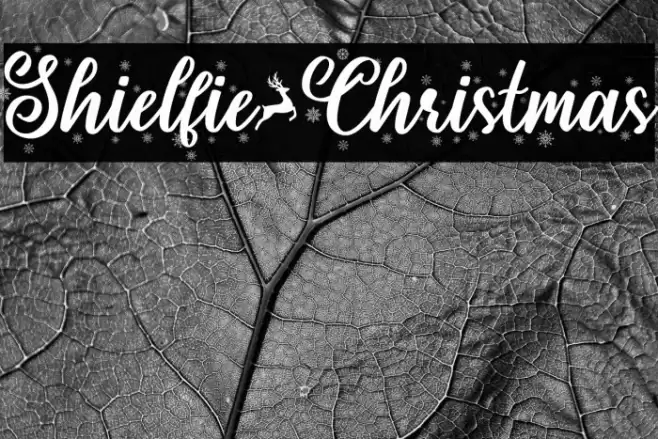 Shielfie-Christmas Font examples