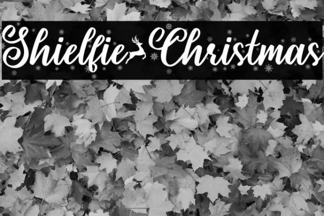 Shielfie-Christmas Font examples