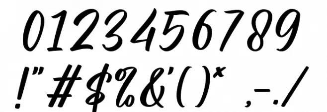 Shielfie Font OTHER CHARS