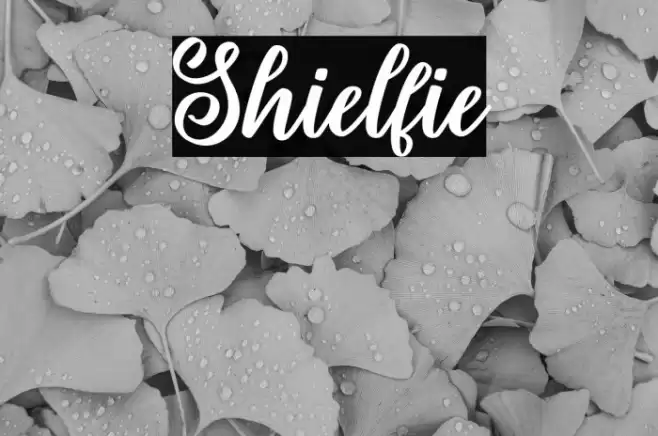 Shielfie Font examples