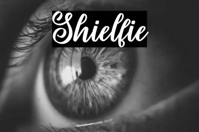 Shielfie Font examples