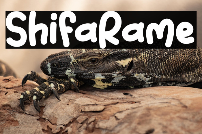 Shifa Rame Example 2