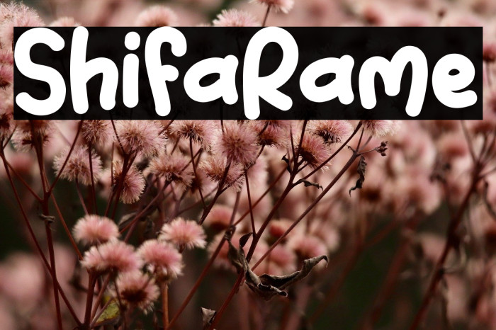 Shifa Rame Example 3