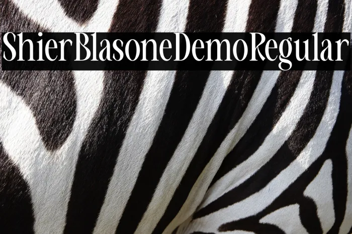 Shifer Blastone Demo Regular Example 3