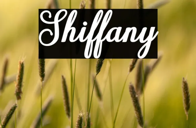 Shiffany Example 1