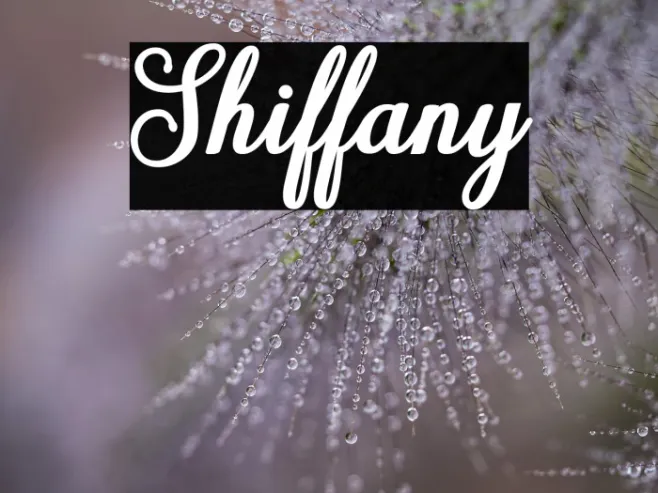 Shiffany Example 2