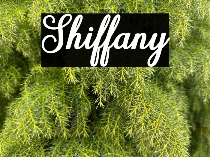 Shiffany Example 3