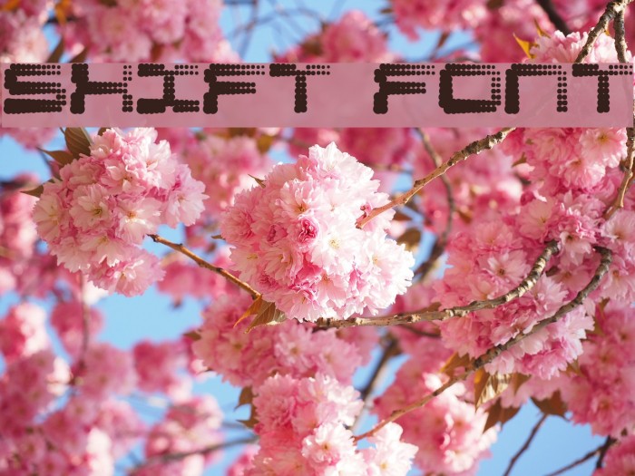 Shift Font examples