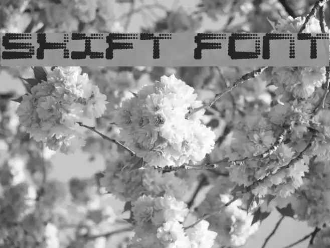 Shift Шрифта examples