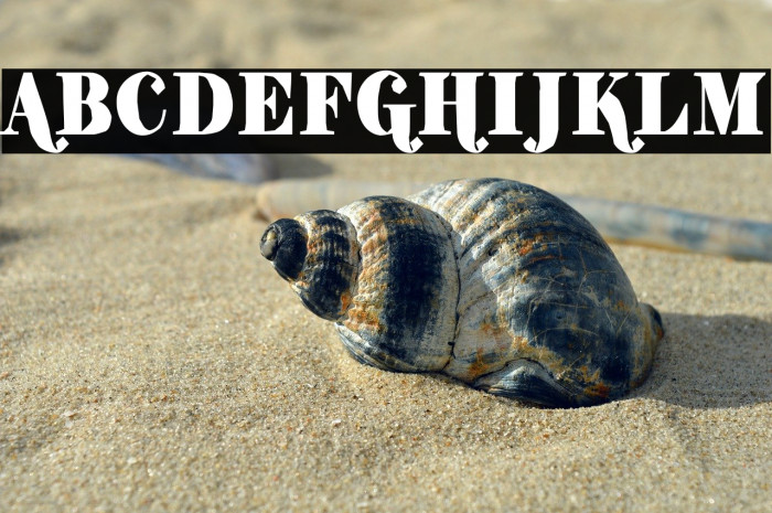 ShiftyChicaTwo-Regular Example 2