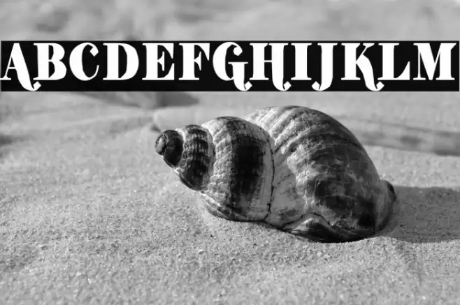 ShiftyChicaTwo-Regular Font examples