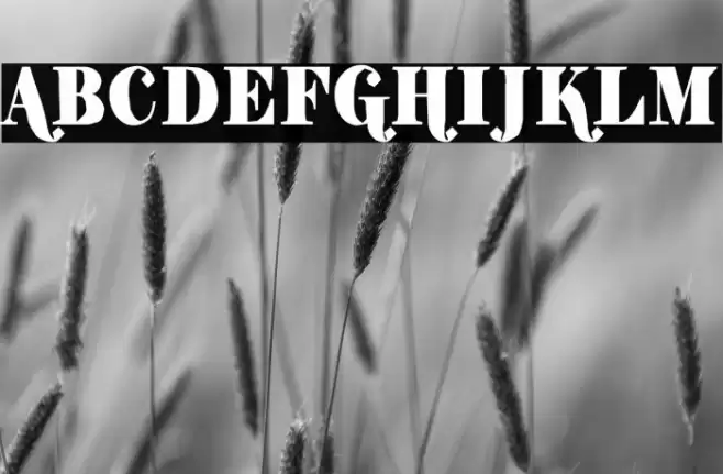 ShiftyChicaTwo-Regular Font examples